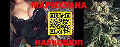 спиды Кингисепп