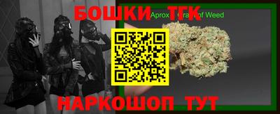 спиды Кингисепп