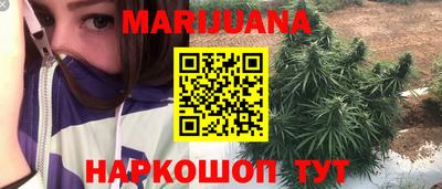 спиды Кингисепп