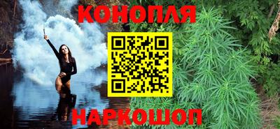 спиды Кингисепп