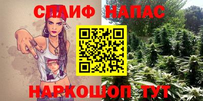 спиды Кингисепп