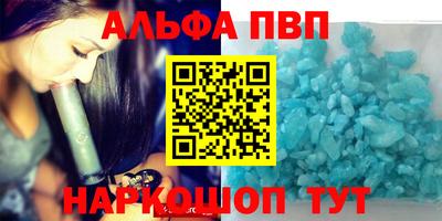 спиды Кингисепп