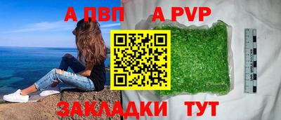 спиды Кингисепп