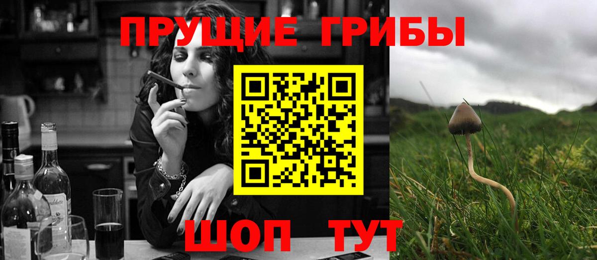 Галлюциногенные грибы Psilocybine cubensis  Вход с VPN  Южно-Сахалинск  Псилоцибиновые грибы Magic Shrooms 